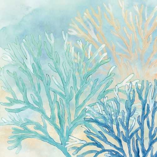 Coral Reef Ii Poster Print By Cynthia Coulter, 12 X 12 - Small