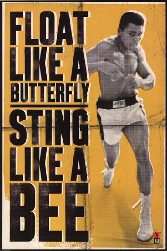 Pyramid Posters Xpe867843 Ali - Float Like A Butterfly Poster Print, 24 X 36
