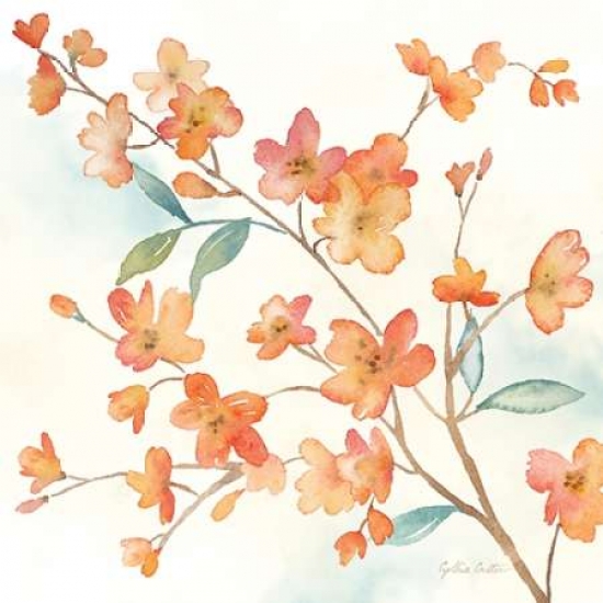 Coral Blossom Branches Ii Poster Print By Cynthia Coulter, 12 X 12 - Small