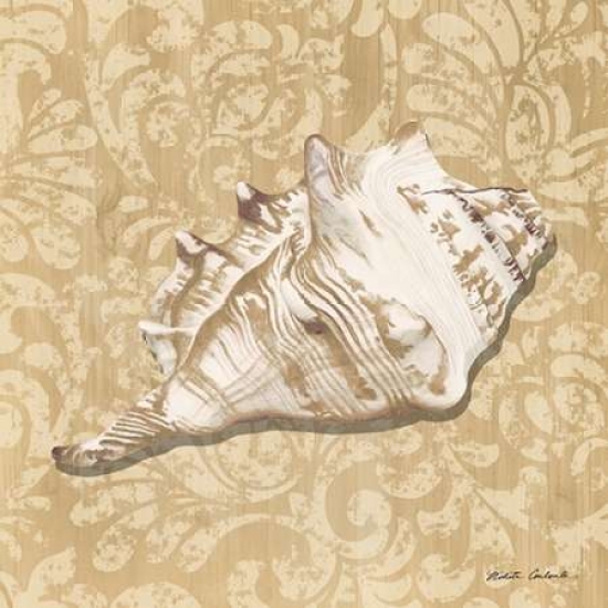 Pdxrb9940ncsmall Shell Study Iii Poster Print By Nikita Coulombe, 12 X 12 - Small