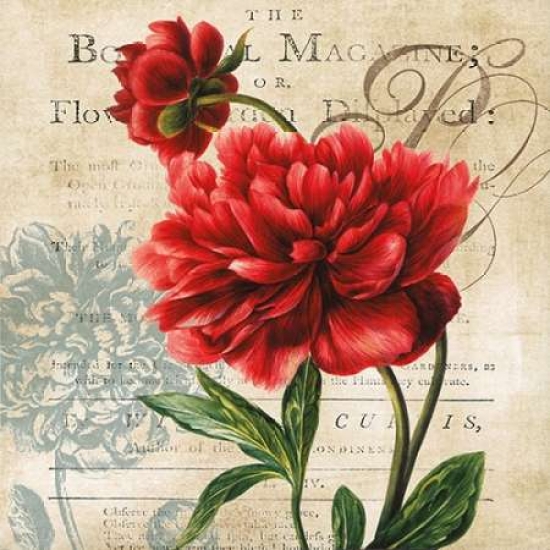 Galaxy Of Graphics Pdx14515large The Botanical Poster Print By Carol Robinson, 24 X 24 - Large
