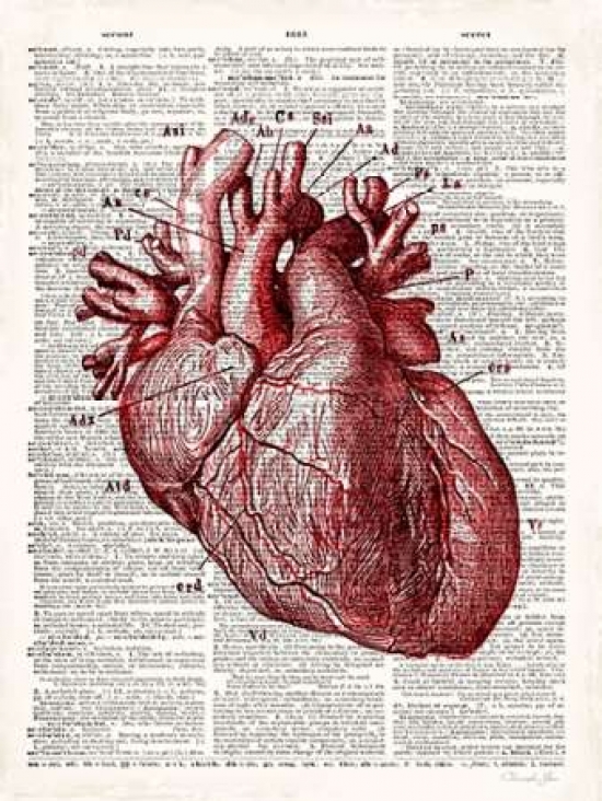 Pdx502jam1219large Vintage Anatomy Heart Poster Print By Christopher James, 18 X 24 - Large