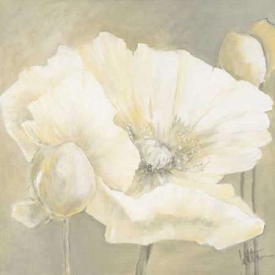 Poppy In White Ii Poster Print By Jettie Roseboom, 24 X 24 - Large