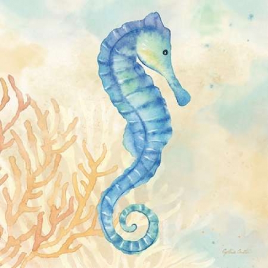 Pdxrb9952ccsmall Under The Sea Iii Poster Print By Cynthia Coulter, 12 X 12 - Small