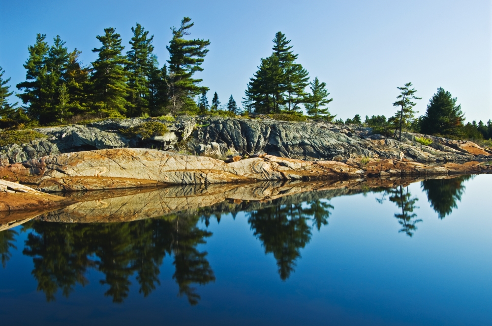 Dpi2026921large Trees Reflection In Water Georgian Bay Ont Poster Print, 36 X 24 - Large