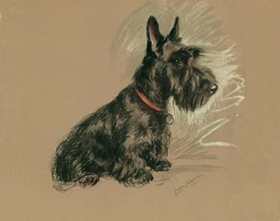 Pdxld08small Scottish Terrier Nanette Poster Print By Lucy Dawson, 10 X 12 - Small