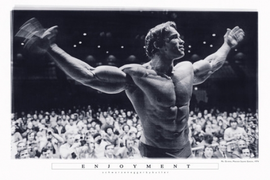 Arnold Schwarzenegger Mr Olympia Poster Print, 24 X 36