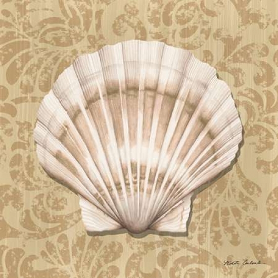 Pdxrb9939ncsmall Shell Study Ii Poster Print By Nikita Coulombe, 12 X 12 - Small