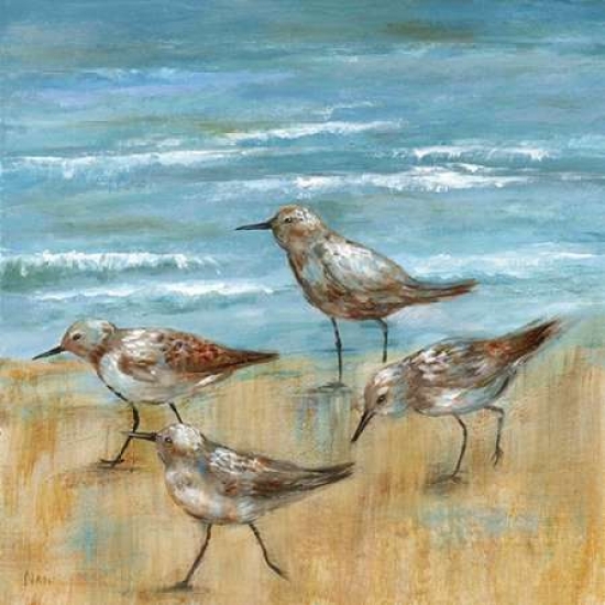 Galaxy Of Graphics Pdx16533small Sandpipers Iii Poster Print By Nan, 12 X 12 - Small