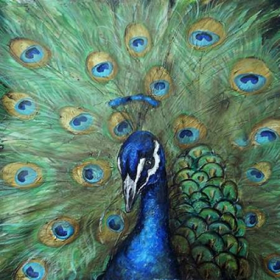 Pdxrb10728tssmall Painted Peacock Poster Print By Tre Sorelle Studios, 12 X 12 - Small