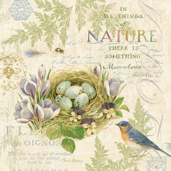 Pdxrb7447pgsmall Nature Trail I Poster Print By Pamela Gladding, 12 X 12 - Small