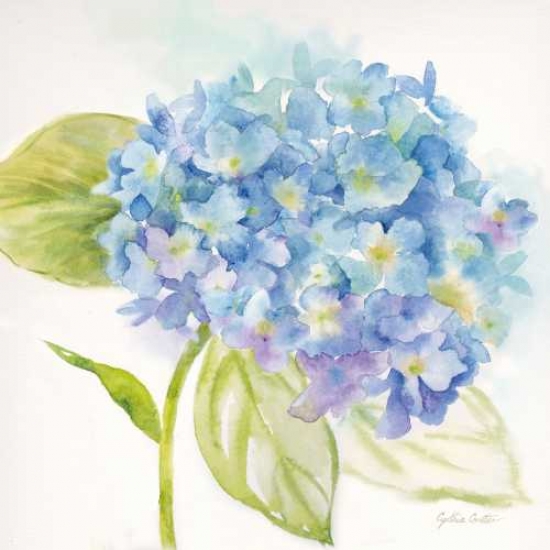 Pdxrb9310ccsmall Painted Hydrangeas I Poster Print By Cynthia Coulter, 12 X 12 - Small