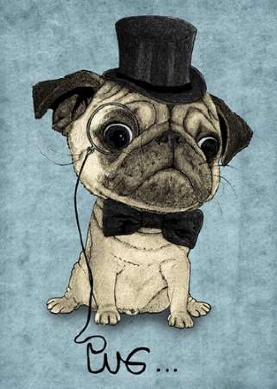 Pdxb3302dsmall Gentle Pug Poster Print By Barruf, 10 X 14 - Small