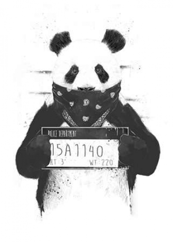 Pdxs1299dsmall Bad Panda Poster Print By Balazs Solti, 10 X 14 - Small