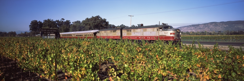 Ppi148431l Napa Valley Wine Train Passing Through Vineyards Napa Valley California Usa Poster Print, 36 X 12
