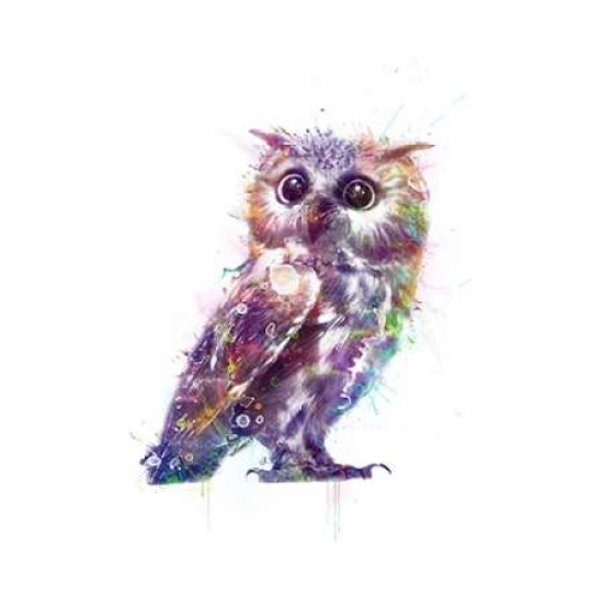 Pdxv594dsmall Owl Poster Print By Veebee, 12 X 12 - Small
