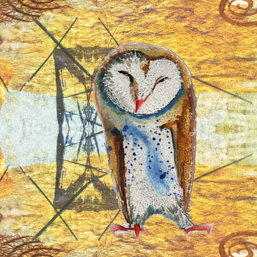 Pcd5142 Barn Owl I Poster Print By Emily Townsend, 12 X 12