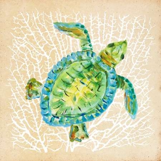 Pdx9865small Sealife Turtle Poster Print By Julie Derice, 12 X 12 - Small
