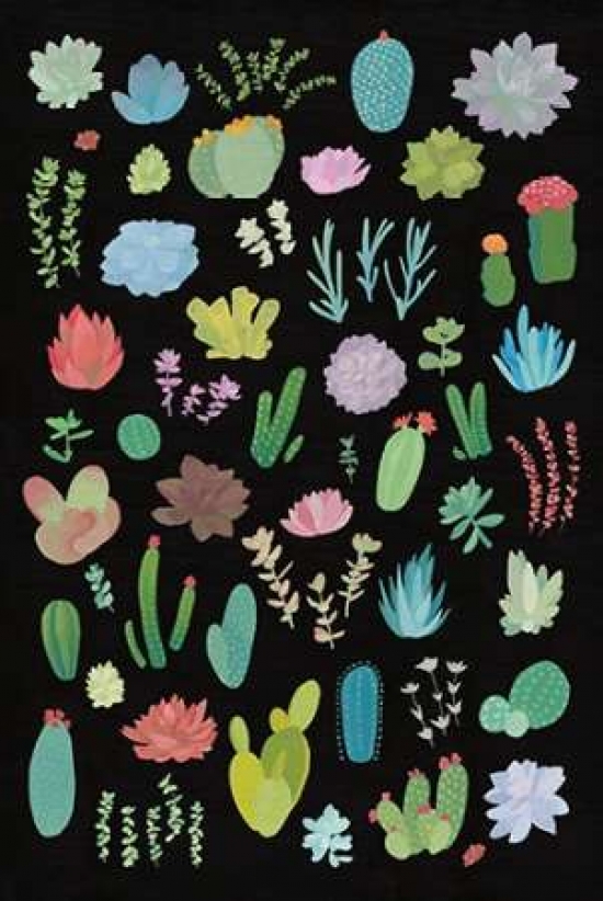 Pdx18827small Succulent Chart I Poster Print By Wild Apple Portfolio, 12 X 18 - Small