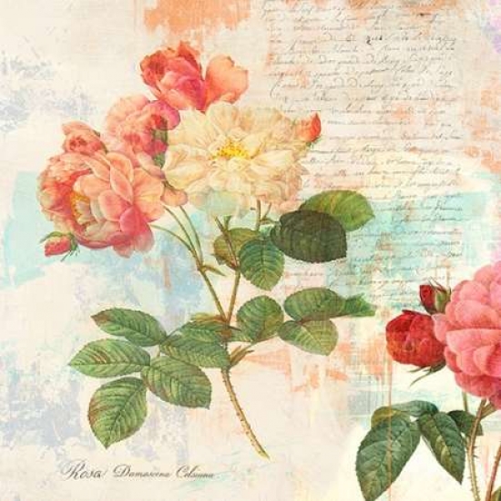 Pdx1eh3822large Redoutes Roses 20 - I Poster Print By Eric Chestier, 24 X 24 - Large