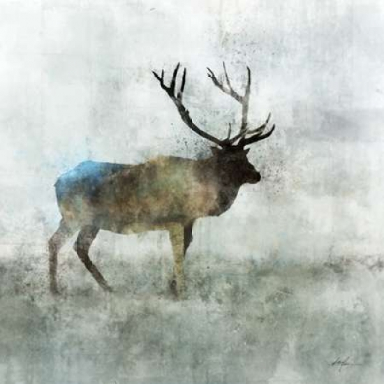 Pdx476rok1123large Solo Stag Poster Print By Ken Roko, 24 X 24 - Large
