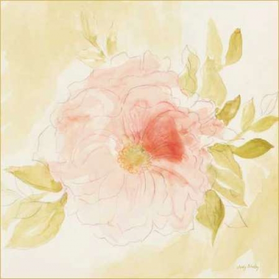 Pdxcc2760large Stardust Peony Poster Print By Judy Shelby, 24 X 24 - Large