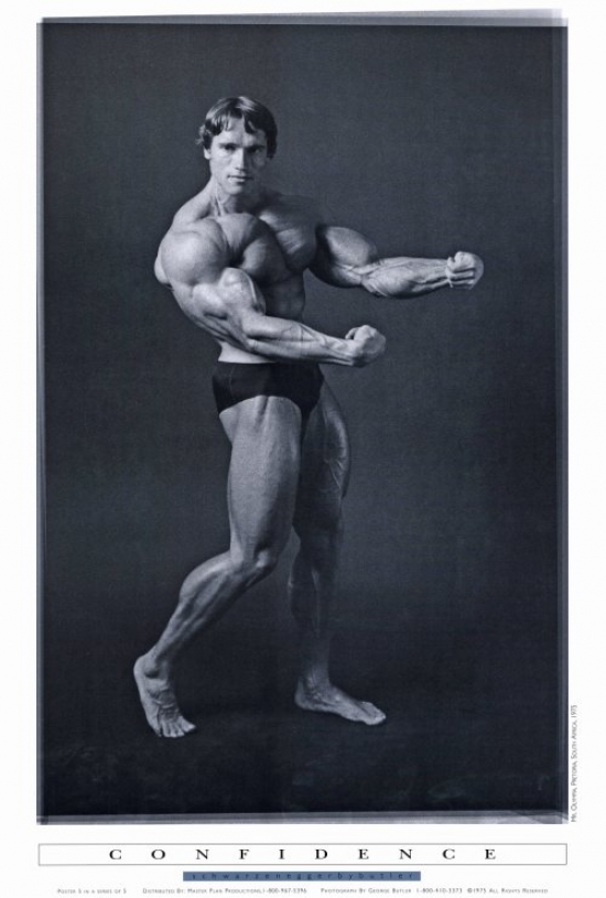 Arnold Schwarzenegger Movie Poster Print, 27 X 40