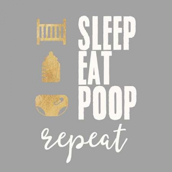 Pdx916tay1214small Sleep Eat Poop Poster Print By Evangeline Taylor, 12 X 12 - Small
