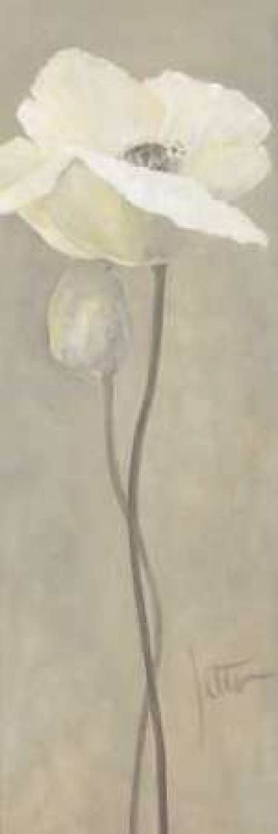 Pdxga0112210small Poppy In White Iv Poster Print By Jettie Roseboom, 8 X 24 - Small
