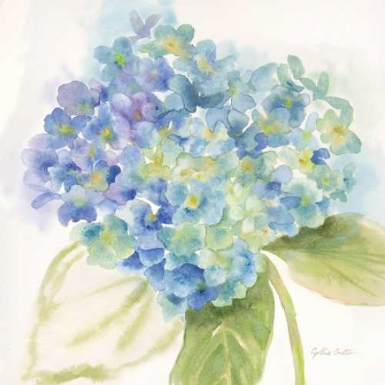 Pdxrb9311ccsmall Painted Hydrangeas Ii Poster Print By Cynthia Coulter, 12 X 12 - Small