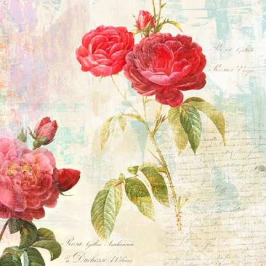 Pdx1eh3823large Redoutes Roses 20 - Ii Poster Print By Eric Chestier, 24 X 24 - Large