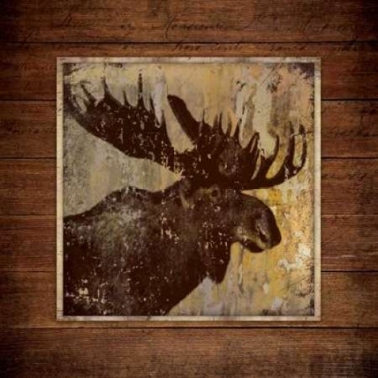 Pdxsm10255large Moose Portrait Poster Print By Stephanie Marrott, 24 X 24 - Large
