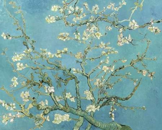 Pdxv551dlarge Almond Blossoms 1890 Poster Print By Vincent Van Gogh, 24 X 30 - Large