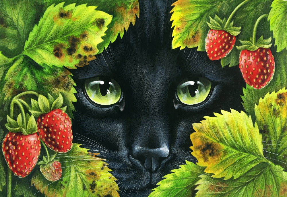 Mgl601299 Wild Strawberries Poster Print By Irina Garmaschova-cawton, 18 X 12