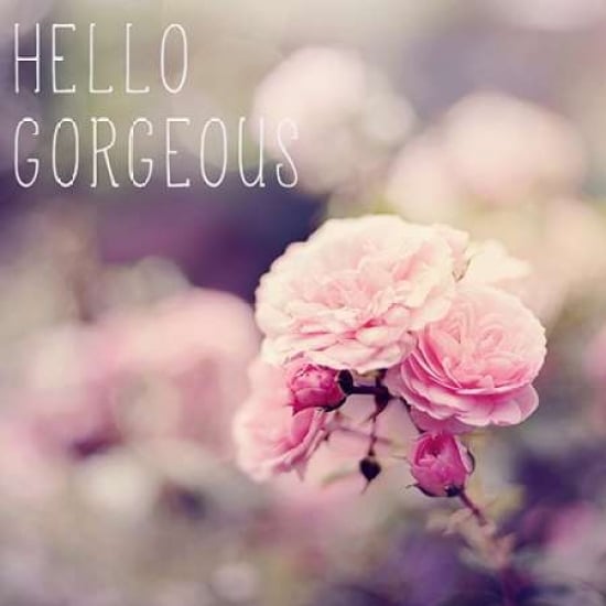 Pdx10143asmall Hello Gorgeous Poster Print By Sarah Gardner, 12 X 12 - Small