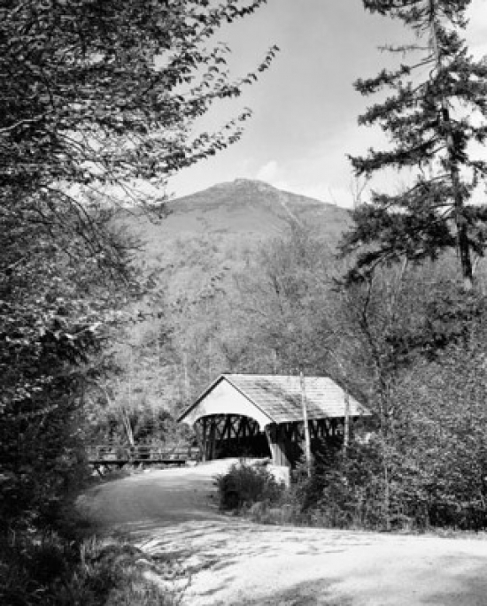 Superstock SAL25522245LARGE Road Leading Towards A Covered Bridge New Hampshire USA Poster Print, 24 x 36 - Large