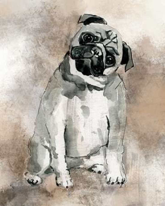 Sketchy Study Pug Poster Print By Carol Robinson, 8 X 10 - Small