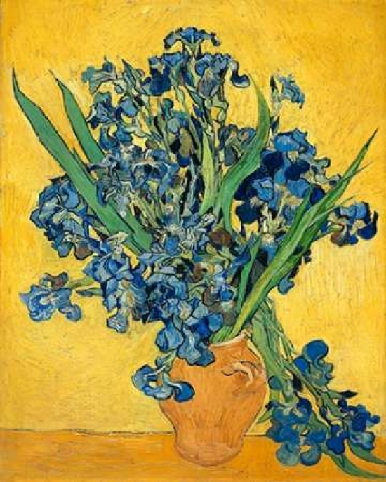 Pdxv552dsmall Irises 1890 Poster Print By Vincent Van Gogh, 8 X 10 - Small