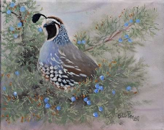 Pdxpt1106small Juniper & Quail Poster Print By Julie Peterson, 11 X 14 - Small