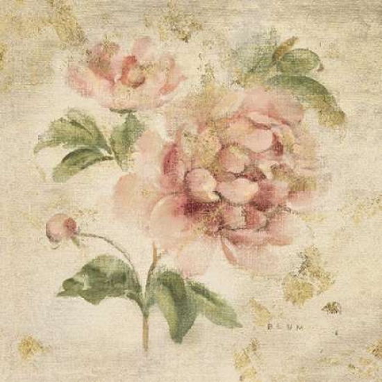 Pdx18726small Coral Rose On Antique Linen Light Gold Poster Print By Cheri Blum, 12 X 12 - Small