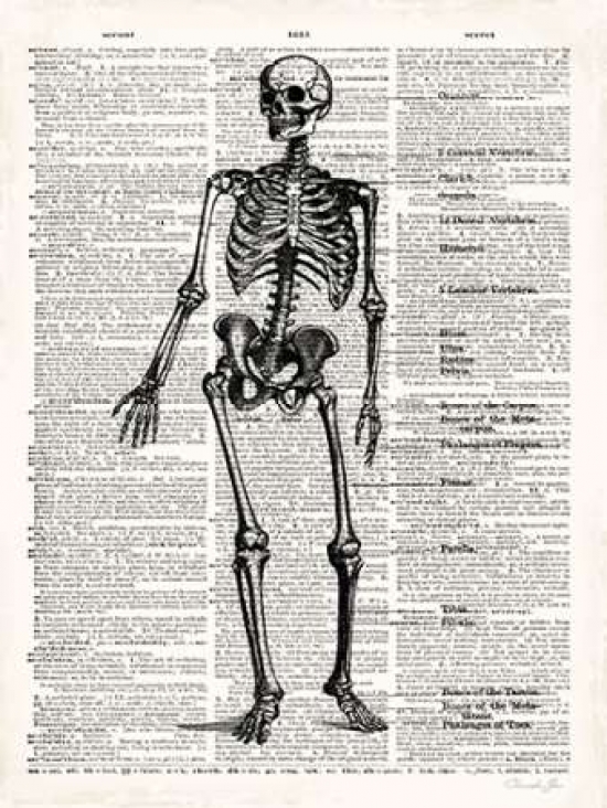 Pdx502jam1220small Vintage Anatomy Skeleton Poster Print By Christopher James, 9 X 12 - Small