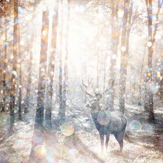Mystical Forest 2 Poster Print By Beau Jakobs, 24 X 24 - Large