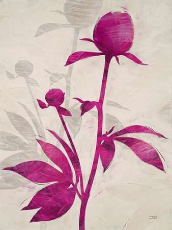 Pdx545sto1018small First Peony 1 Poster Print By Ivo, 11 X 14 - Small