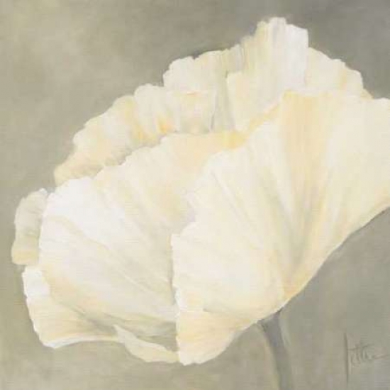Poppy In White Iii Poster Print By Jettie Roseboom, 24 X 24 - Large