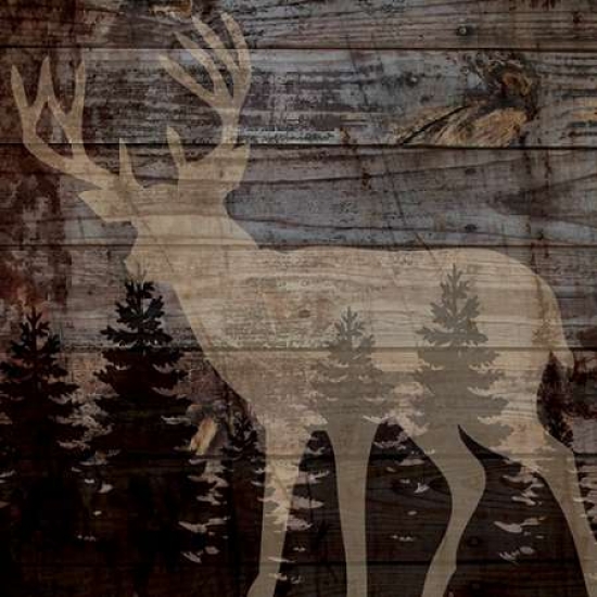 Pdxpb25296small Rustic Deer Poster Print By Piper Ballantyne, 12 X 12 - Small