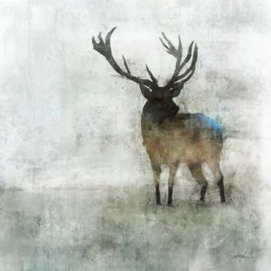 Pdx476rok1124small Silent Stag Poster Print By Ken Roko, 12 X 12 - Small