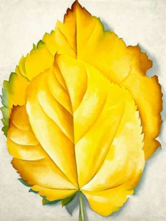 2 Yellow Leaves, Yellow Leaves 1928 Poster Print By Georgia Okeeffe, 11 X 14 - Small