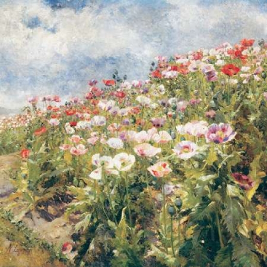 Pdxcc2821large Seaside Poppies Poster Print By Egner Marie, 24 X 24 - Large