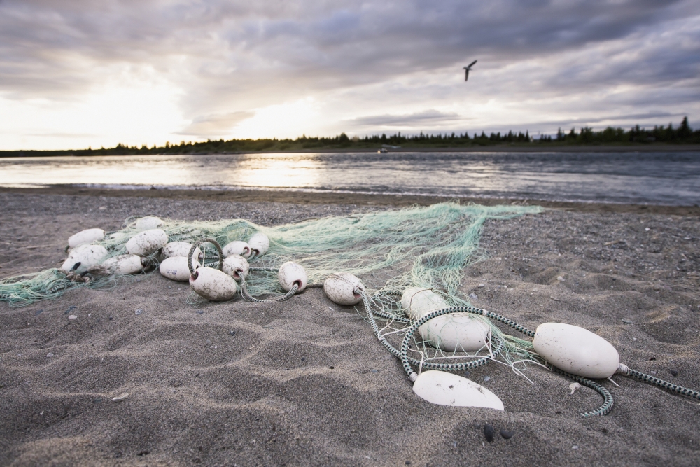 A Gill Net Used For Sockeye Salmon Fishing Stretches Towards The River Bristol Bay Alaska United States Of America Poster Print, 38 X 24 - Large