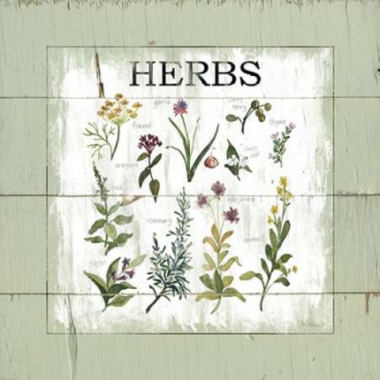 Galaxy Of Graphics Pdx17475small Shiplap Herbs Poster Print By Carol Robinson, 12 X 12 - Small